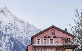Hôtel Vallée Blanche